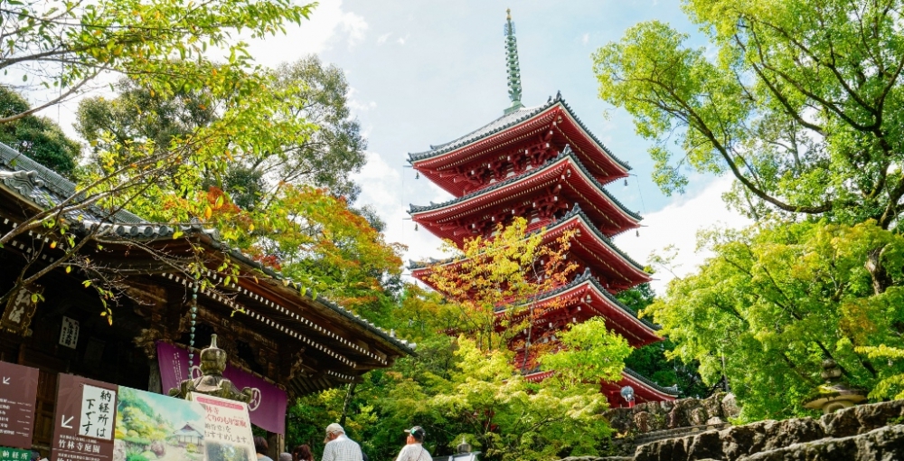 竹林寺 (1024x683).jpg