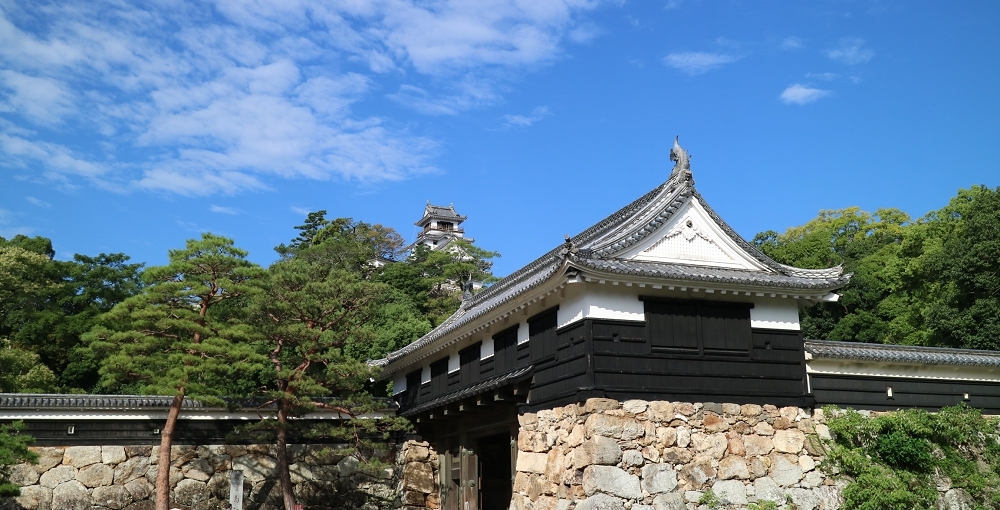 IMG_4516.png