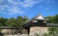 IMG_4516.png