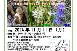 2024-11-11案内チラシ 第4回遠山・興津植物観察会_page-0001.jpg