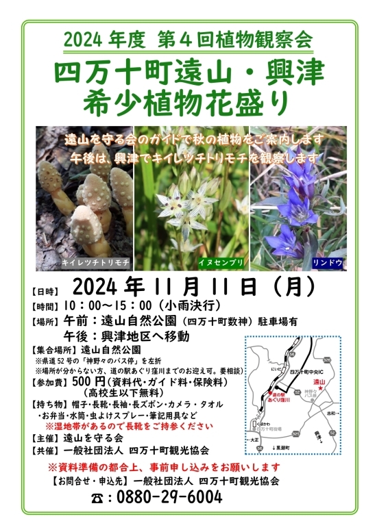 2024-11-11案内チラシ 第4回遠山・興津植物観察会_page-0001.jpg